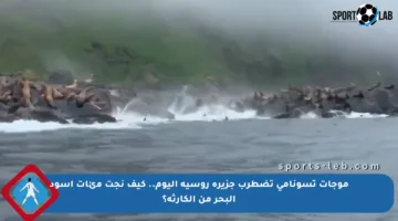 موجات تسونامي تضطرب جزيرة روسية اليوم.. كيف نجت مئات أسود البحر من الكارثة؟